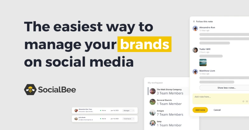 SocialBee Email Banner: Easy way to manage brands