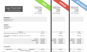 Professional Invoices